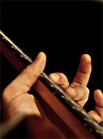 Guitar hand fingering