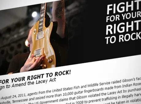 Fight For Your Right To Rock with Gibson