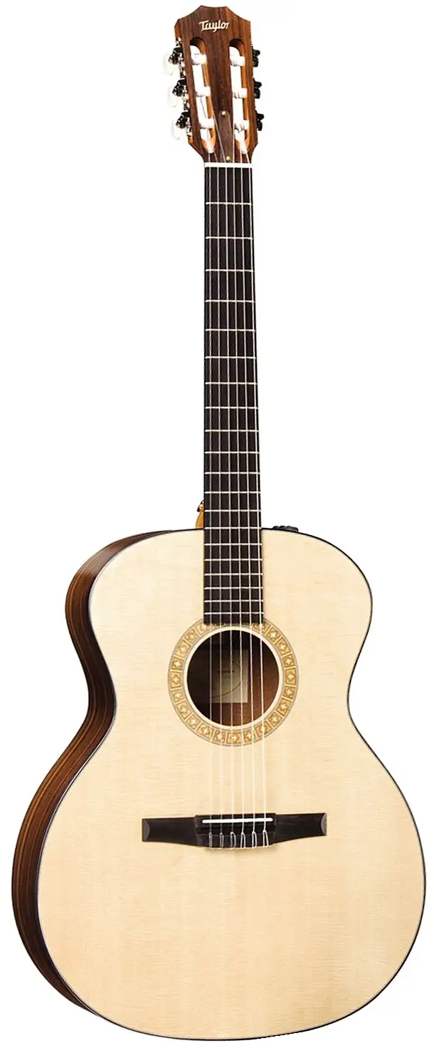 NS24e-G-L Left Handed by Taylor