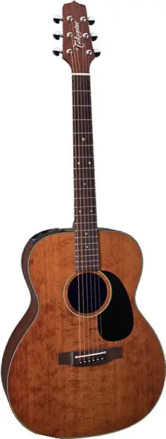 EF740SGN by Takamine