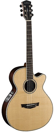 PW570 by Parkwood Guitars