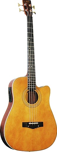 JG-702 by Johnson Guitars
