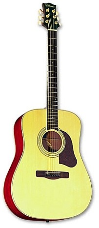 SD50 by Silvertone Guitar