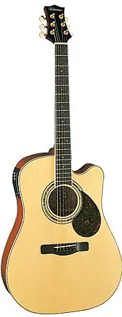 SD50CE by Silvertone Guitar