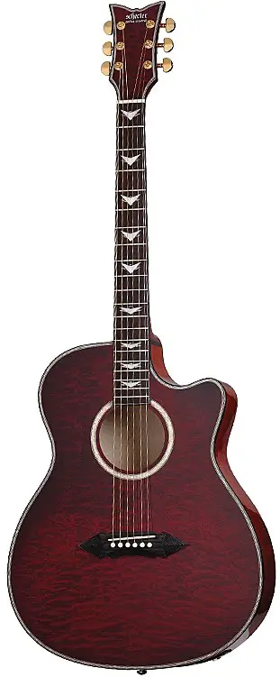 Omen Extreme Acoustic by Schecter
