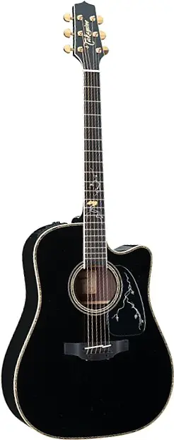 2012 Limited Edition by Takamine