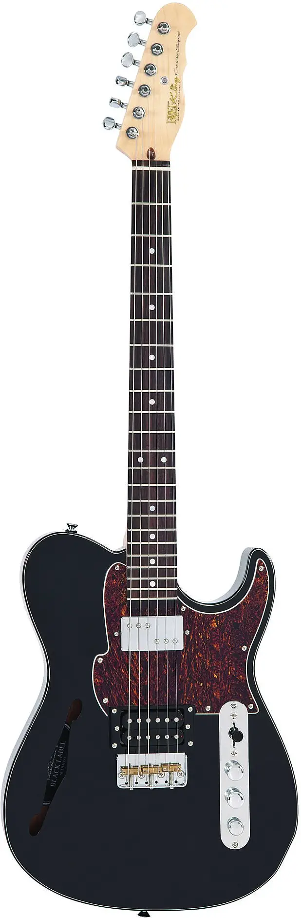 Black Label Country Squire Semitone by Fret King