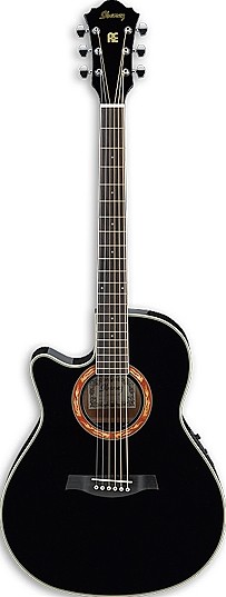 AEF18LE (2013) by Ibanez