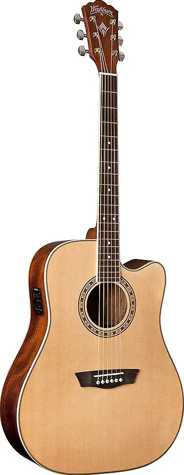 WD10CE by Washburn