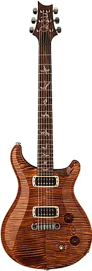 Paul`s Guitar by Paul Reed Smith
