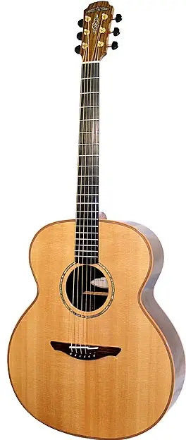 Ard Ri 2-800 by Avalon Guitars