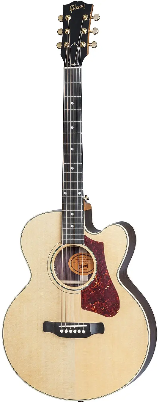 HP 665 SB by Gibson