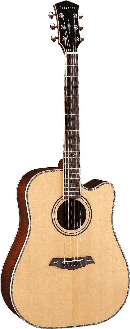 P860 by Parkwood Guitars