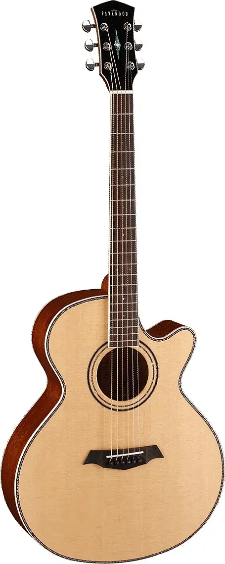 P670 by Parkwood Guitars