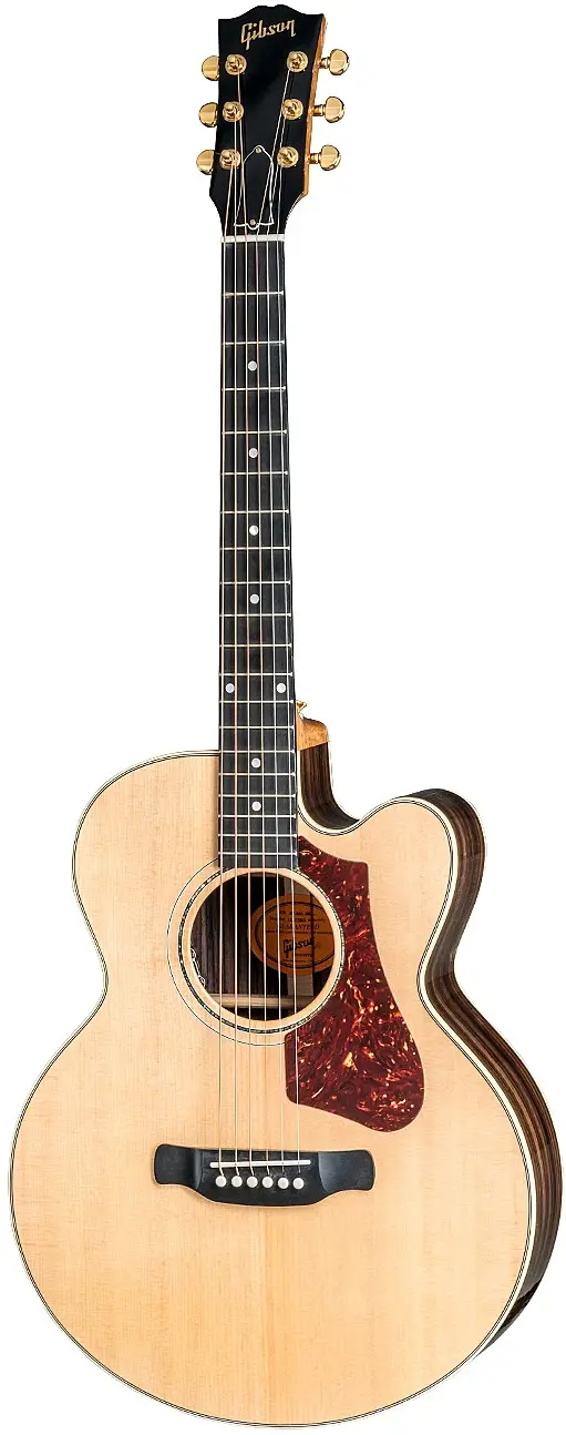 Parlor Rosewood AG 2018 by Gibson