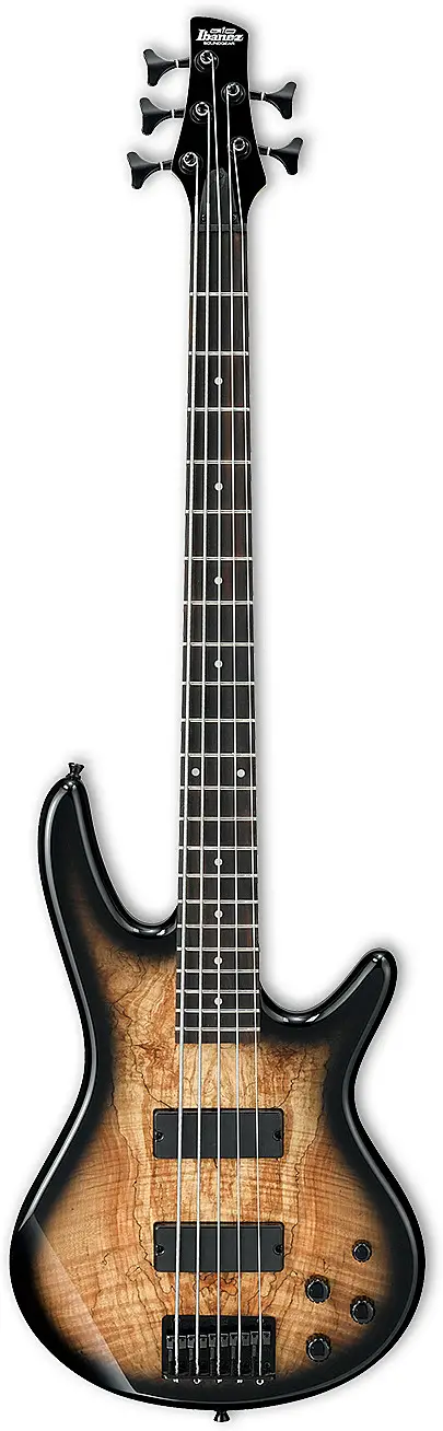 GSR205SM (2018) by Ibanez