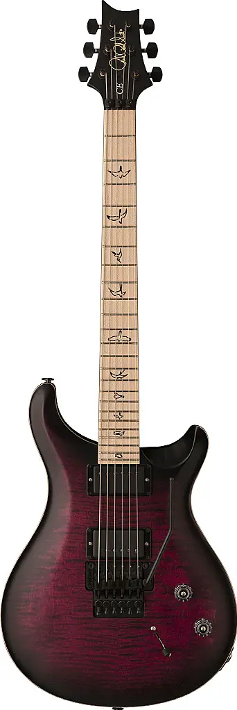 DW CE 24 Floyd Limited Edition by Paul Reed Smith