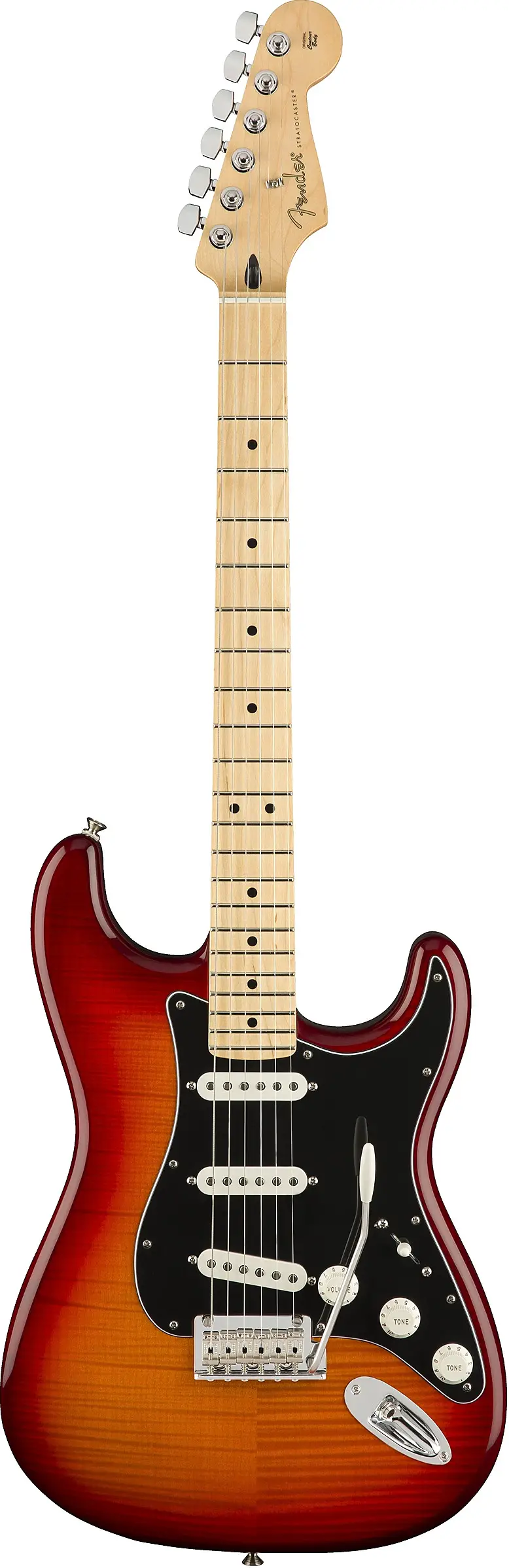 Player Stratocaster Plus Top by Fender