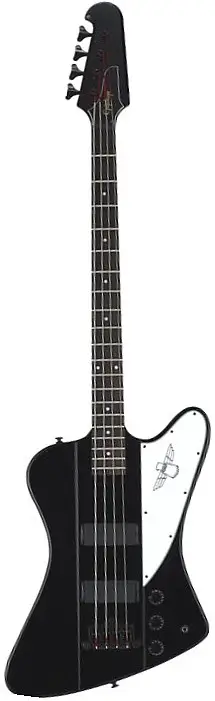 Thunderbird IV All Access Bass Pack by Epiphone