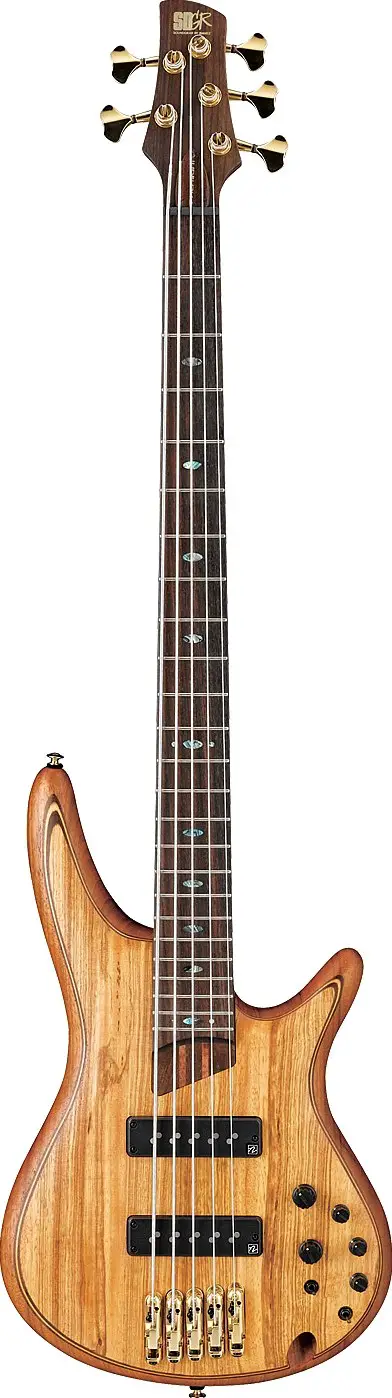 SR 1205 E by Ibanez