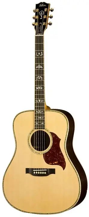 Songwriter Deluxe Custom by Gibson