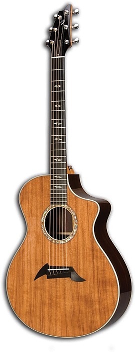 Focus Special Edition by Breedlove