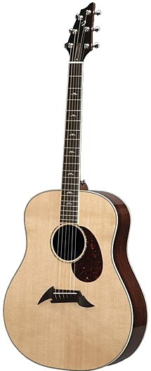 Performance Focus Dreadnought by Breedlove