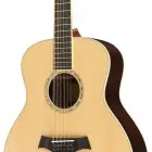 Taylor GS8 12