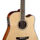 Parkwood Guitars PW360M