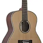Johnson Guitars JO-06