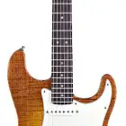 Select Stratocaster HSS