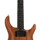 CT324 24 Fret California Carved Top