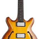 SH445 Semi-Hollow Double Cutaway Carved Top Guitar