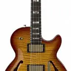 SH550 Semi-Hollow Carved Top Guitar
