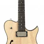 Carvin SH250 Semi-Hollow Electric Guitar