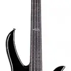 Carvin Brian Bromberg B24S Active Bass