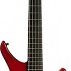 Vigier Guitars Passion Custom 5