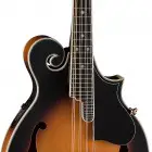 Bluegrass F/E Mandolin