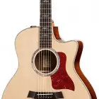 Taylor 816ce-LTD (2012 Spring Limited Edition Cocobolo 800 Series)