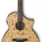 Ibanez AEW40AS