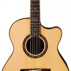 Paul Reed Smith Tony McManus Private Stock Acoustic