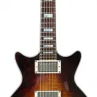 Heritage Guitars H-170