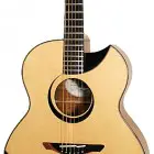 Avalon Guitars Arc 2-350CMB