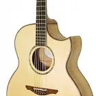 Avalon Guitars Ard Ri 2-360