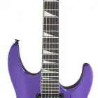 Pavo Purple