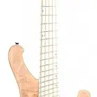 Legator Guitars Helio Bass 300-PRO Fanned-Fret 5-String
