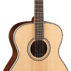 Parkwood Guitars P820