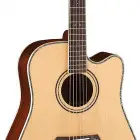 Parkwood Guitars P860
