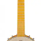 Gretsch Guitars G9460 Dixie 6 Guitar-Banjo