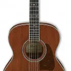 Ibanez ACV10MH (2018)
